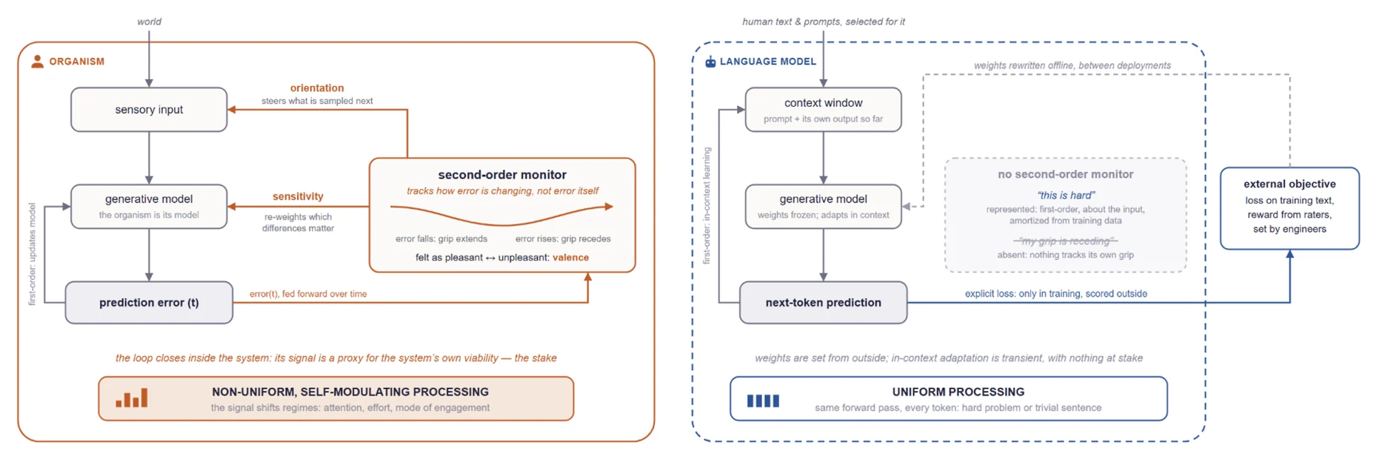 Figure 2. Schematic representation of how a stake is (or is not) implemented. Both humans and machines run a first-order predictive loop that adapts online: the organism updates its generative model, while an LLM, with frozen weights, adapts within its context window (in-context learning), which has been modelled as implicit inference over latent tasks (Xie et al., 2021). Only the organism has a second-order signal that tracks how its own grip is changing. This signal is felt as pleasant or unpleasant (valence), feeds back into which differences matter (sensitivity) and what is sampled (orientation), and provides cues for negotiating our normative framework in the social world (normativity). The LLM’s explicit error signal exists only in training and is computed outside the system. In-context adaptation is first-order (about the task, not the modeller) and transient, so its processing stays uniform.